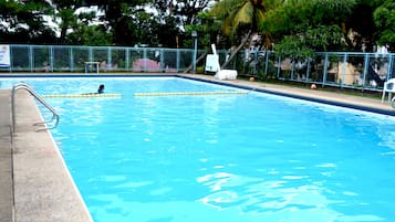Outdoor pool, sun loungers
