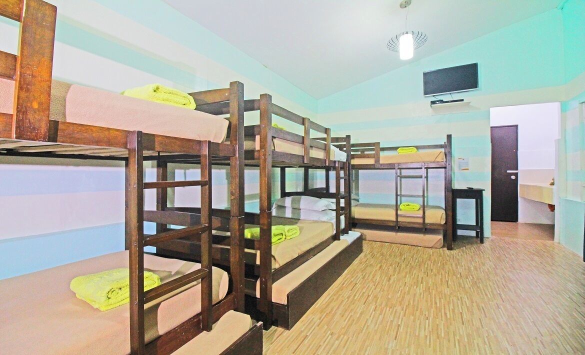 Basic Room | Desk, bed sheets