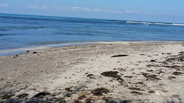 Une plage bordée d’une côte rocheuse et baignée par une mer calme.