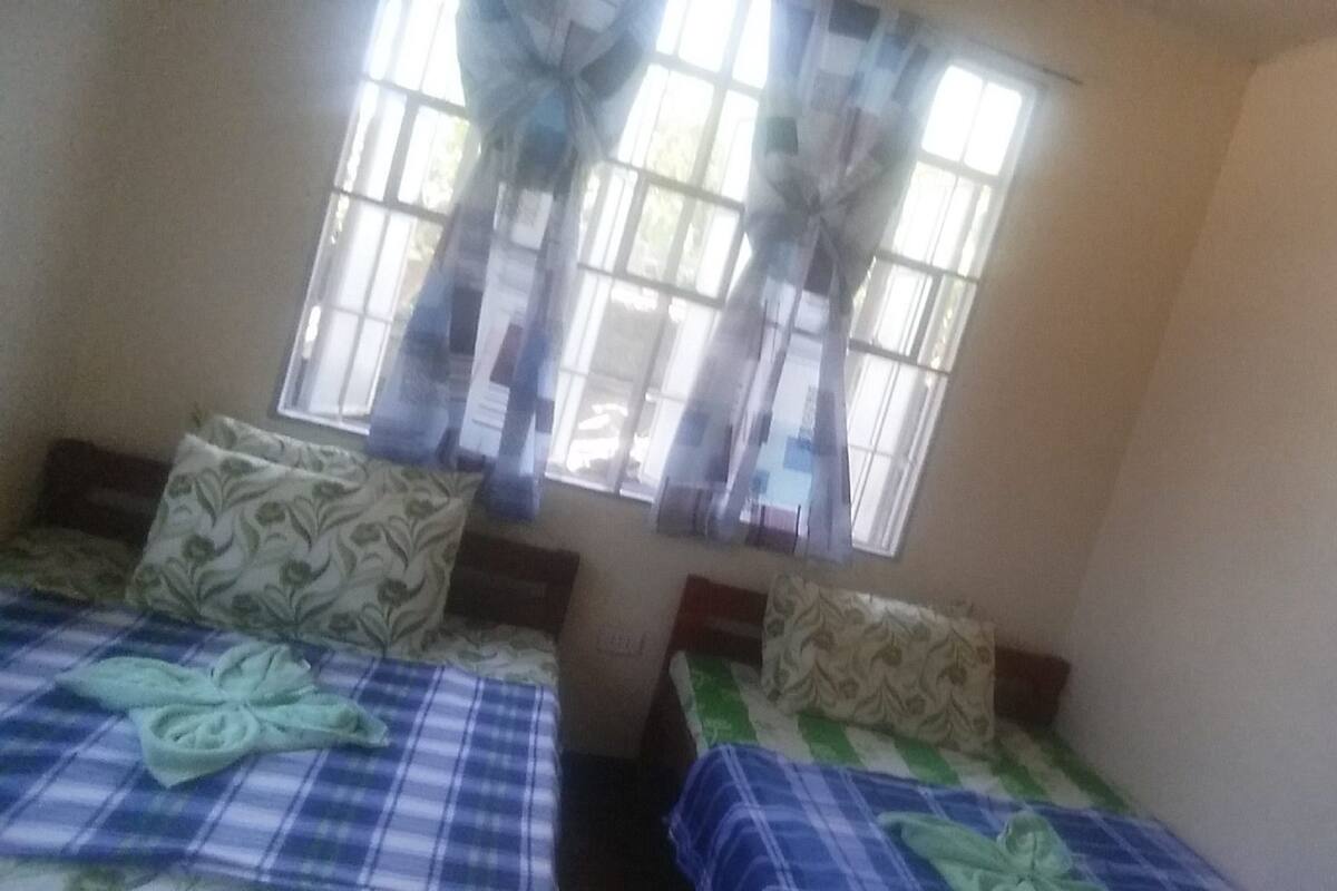 A room with two beds, each with a blue and white checkered bedspread and patterned pillows. There is a window with sheer curtains and a view of the outside.