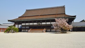 A traditional Japanese building with a tiled roof, a wooden staircase leading to the entrance, and a cherry blossom tree in the foreground. - Kyonoyado Senkakubettei (Kyoto)