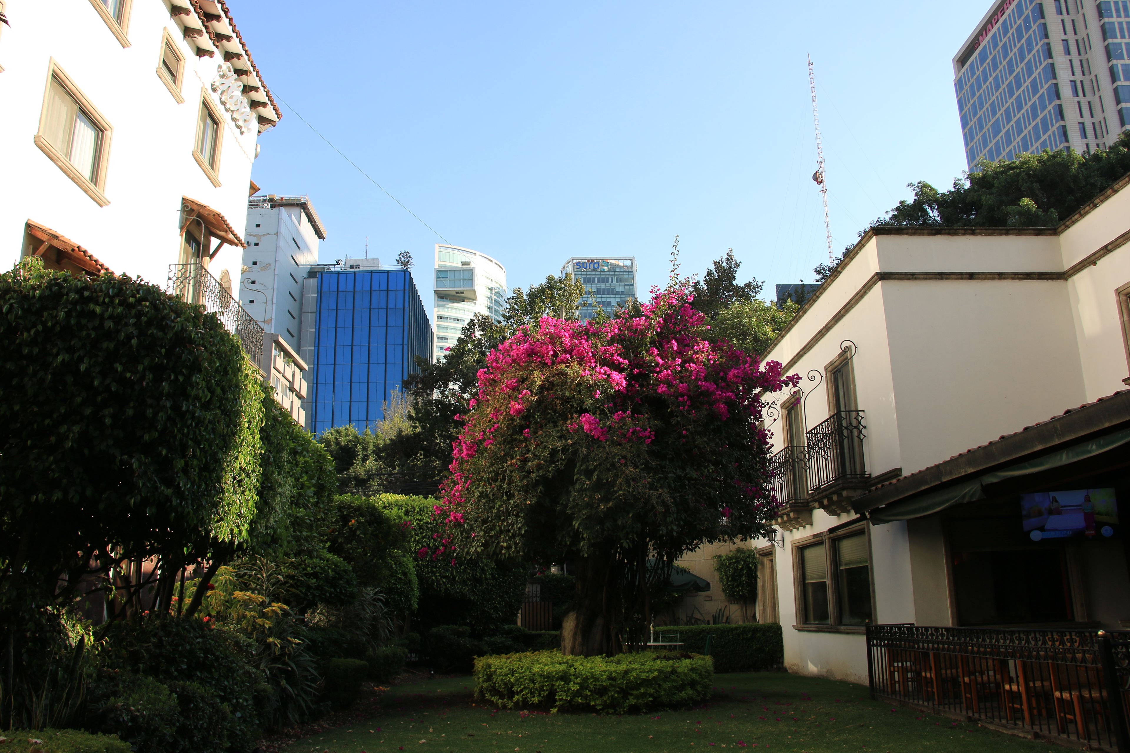 Foto - Hotel Maria Cristina