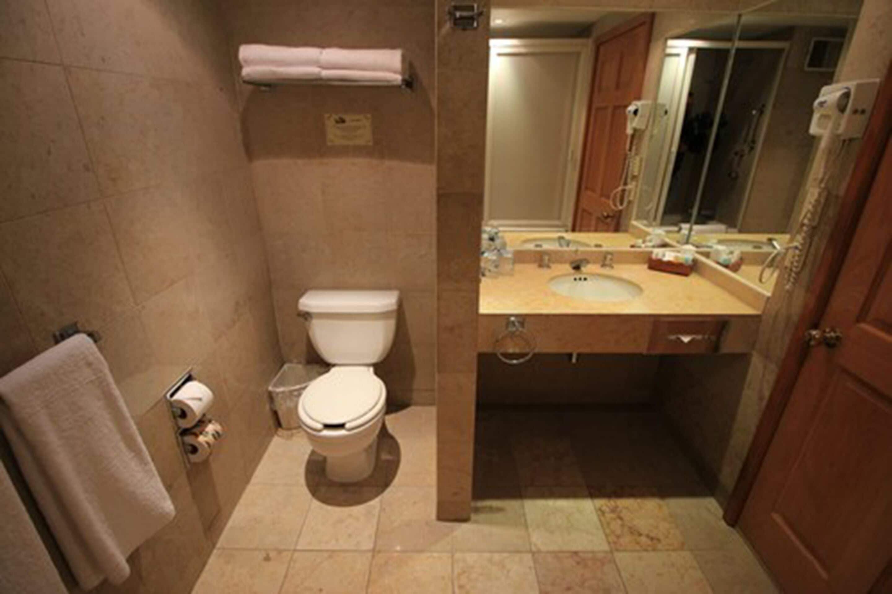 deluxe room, 1 king bed | bathroom | free toiletries, hair dryer, towels, soap