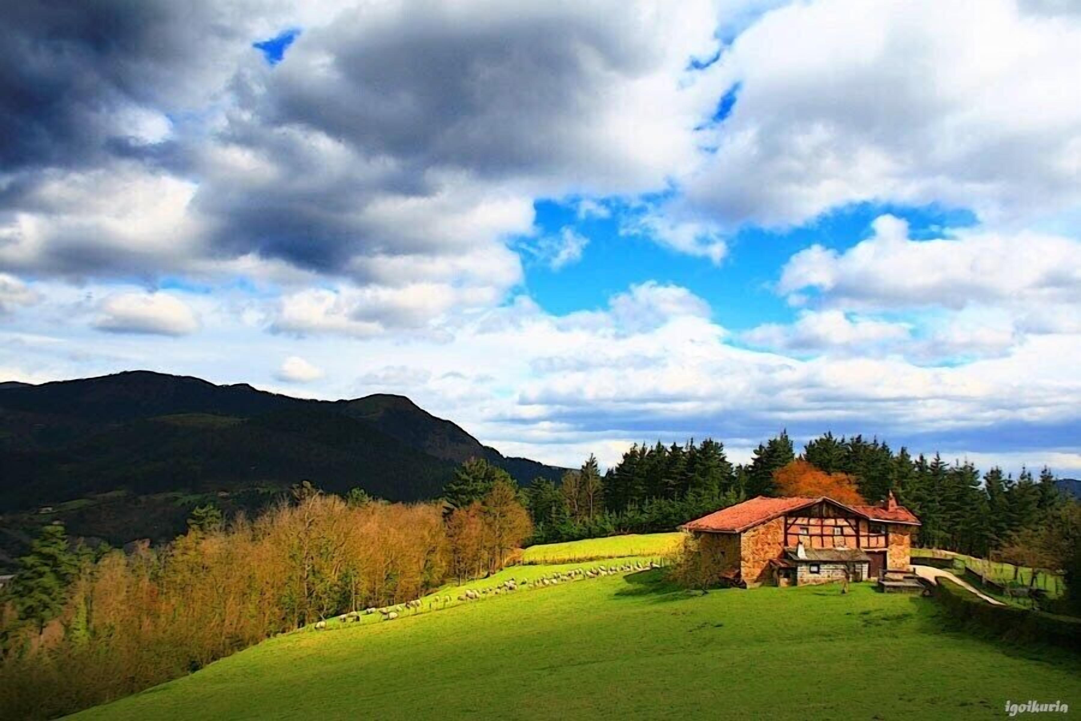 Photo - Osabarena Hotela