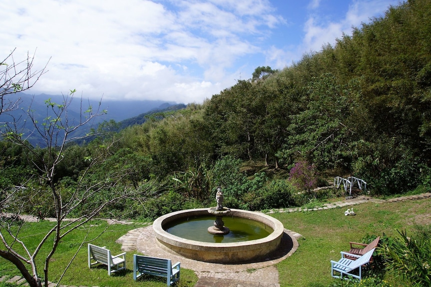 普拉多山丘假期景觀餐廳評價、特色體驗、房價資訊、訂房連結 – 鄉村風情與繡球花秘境 - 照片 4