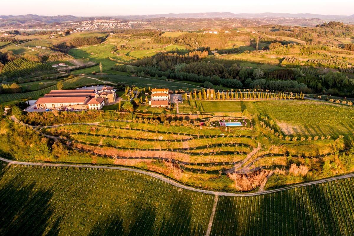 Vista aérea de un viñedo con campos en terrazas, un edificio grande con techo rojo y una piscina.