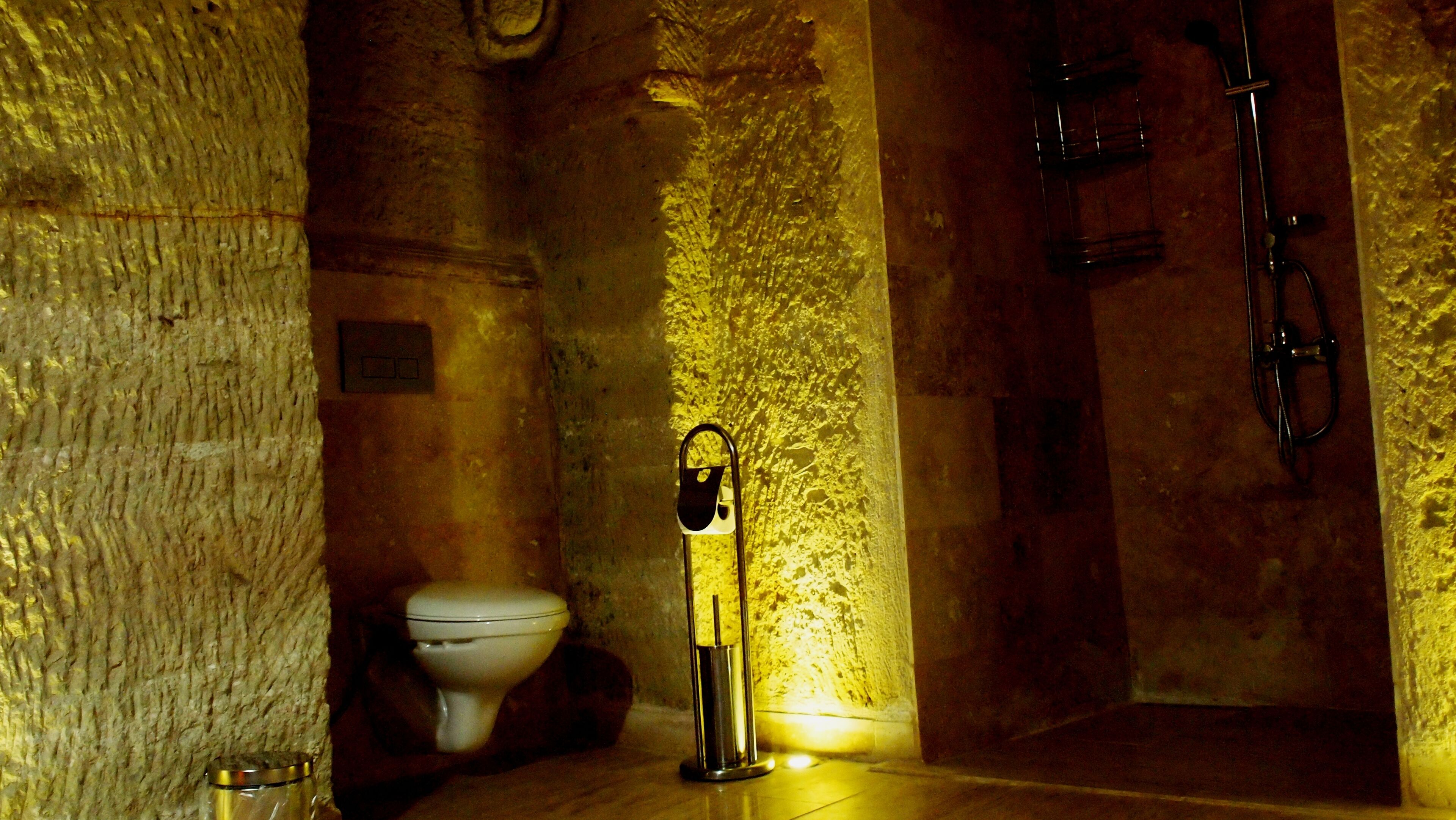 Une salle de bain équipée de toilettes, d’un bidet et d’une douche.