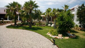 A landscaped garden with palm trees, a gravel path, and a building with a white facade. - Hotel Boutique Ses Pitreras (Sant Josep de sa Talaia)