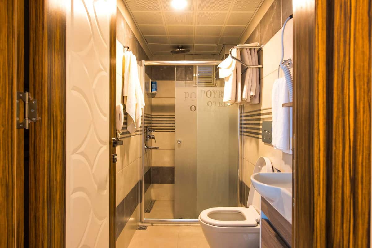 shower, free toiletries, hair dryer, slippers