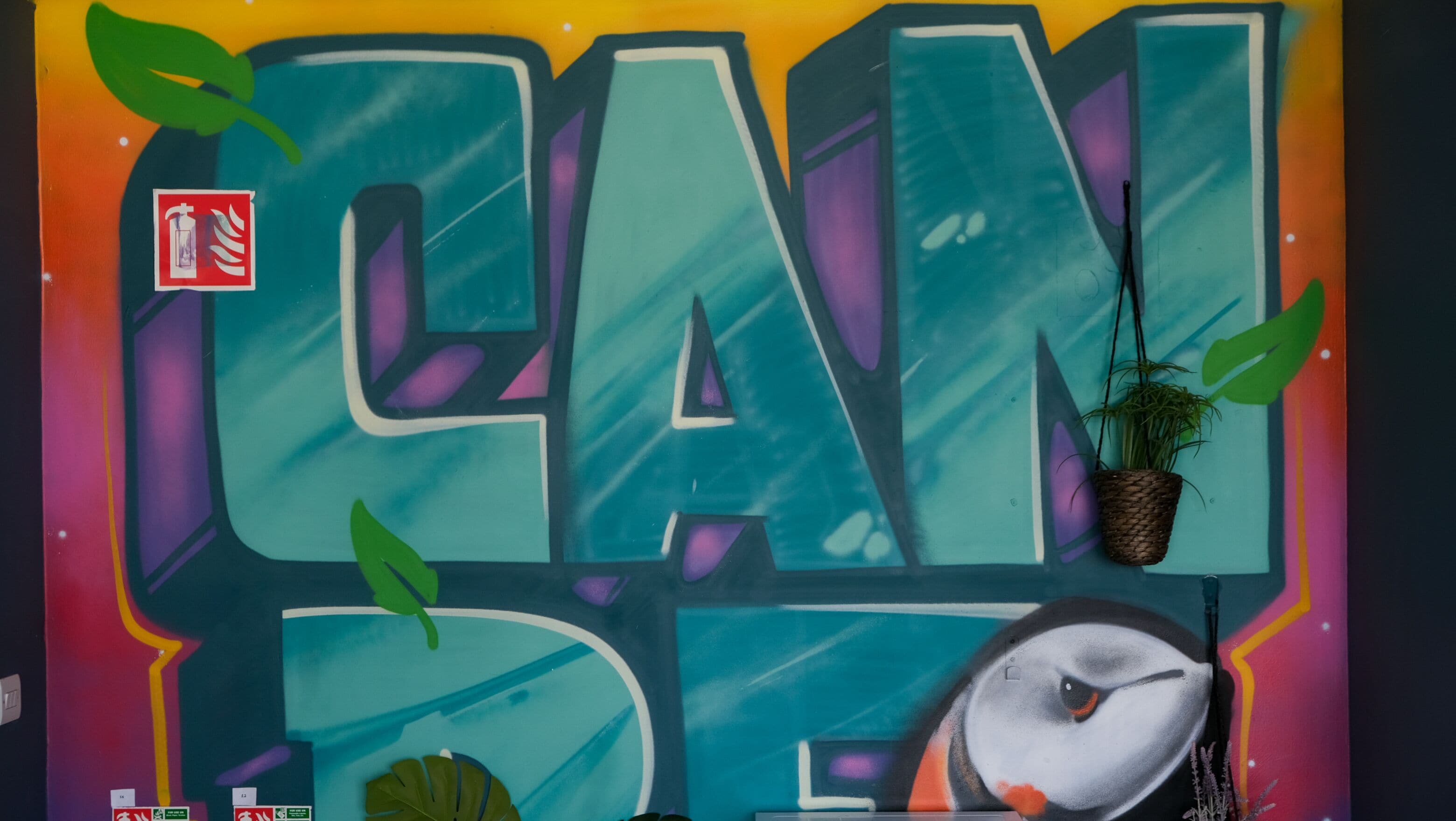 Photo - Garden Lane Backpackers