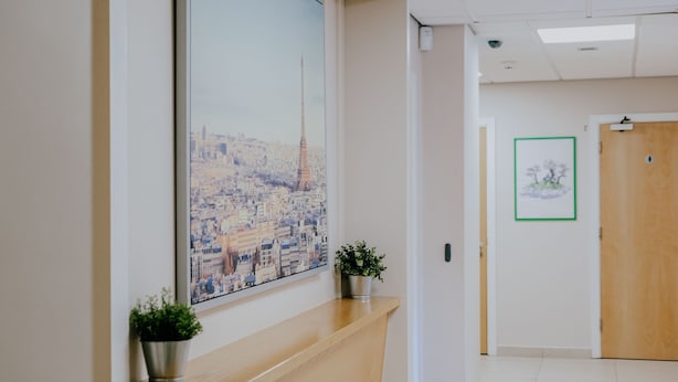 A hallway with a large cityscape painting, a potted plant, and a framed picture on the wall.