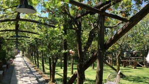 Un camino bordeado de árboles frutales, un sendero empedrado y una lámpara colgante.