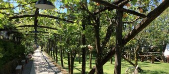 Podere don Peppe 1884