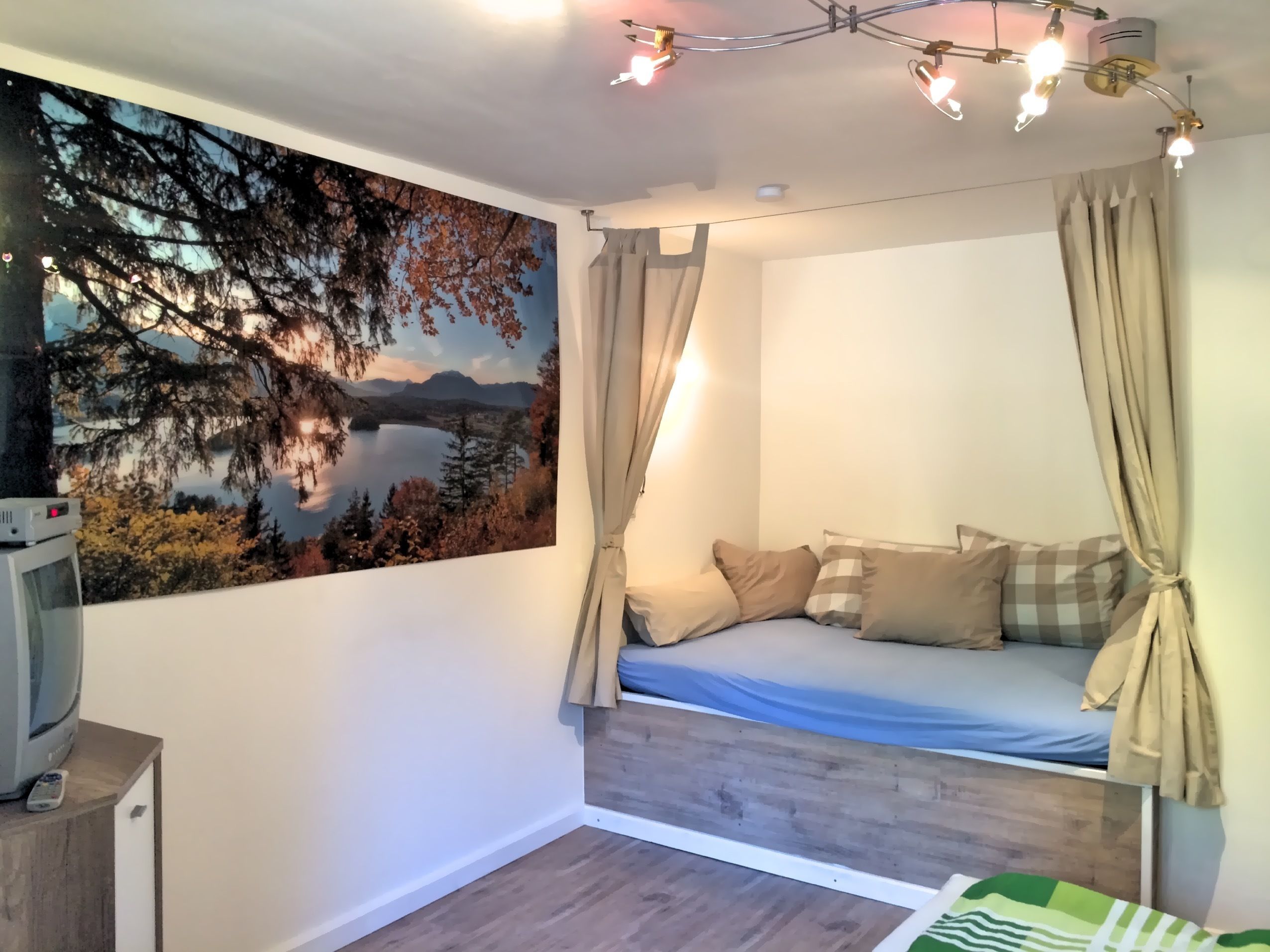 A bedroom with a bed, a painting of a lake, a ceiling light, and a TV on a stand.