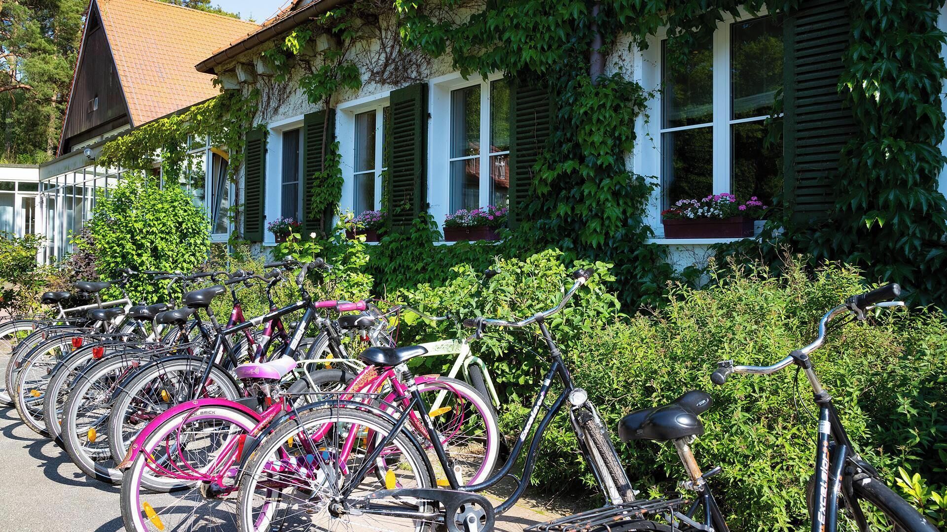 Foto - Hotel Döllnsee-Schorfheide