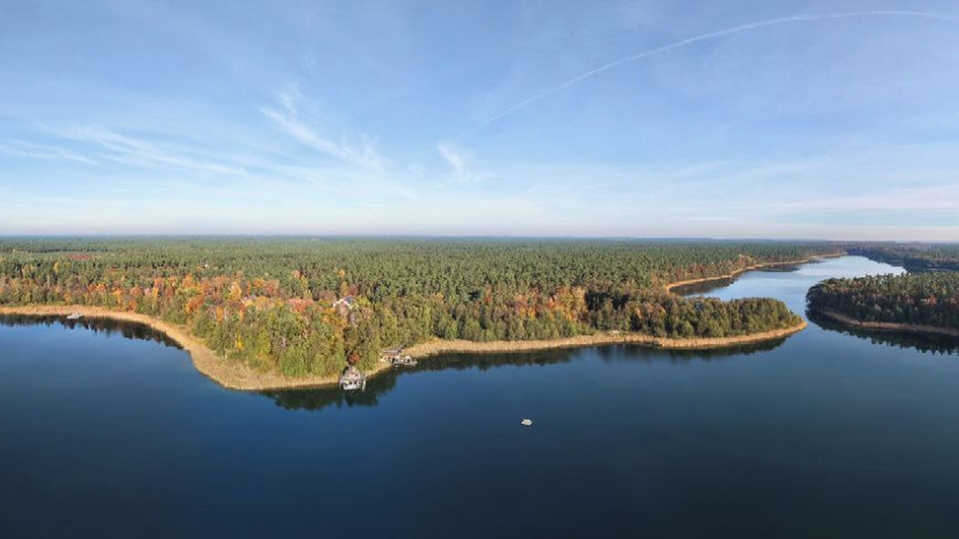 A large body of water surrounded by dense forest with a small island in the center.