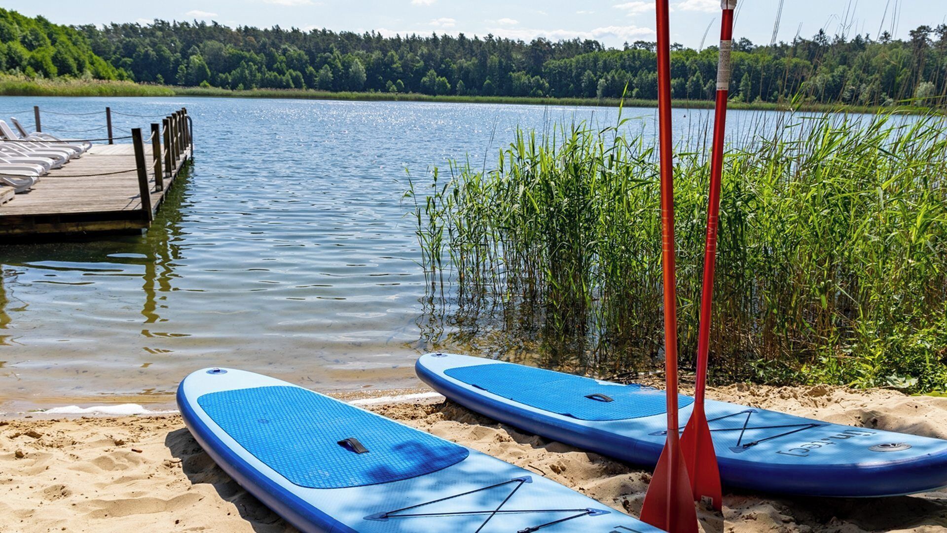Uno scenario con un lago, tavole da paddleboard e un molo.