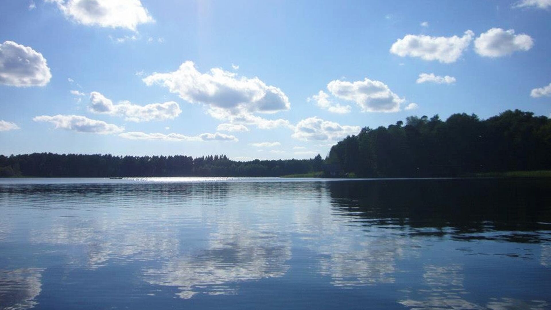 En rolig sø med skovkant og klar himmel.