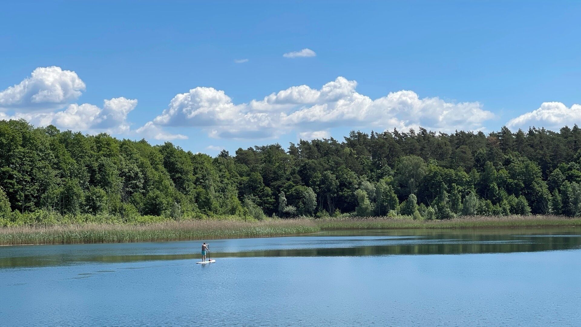 Foto - Hotel Döllnsee-Schorfheide