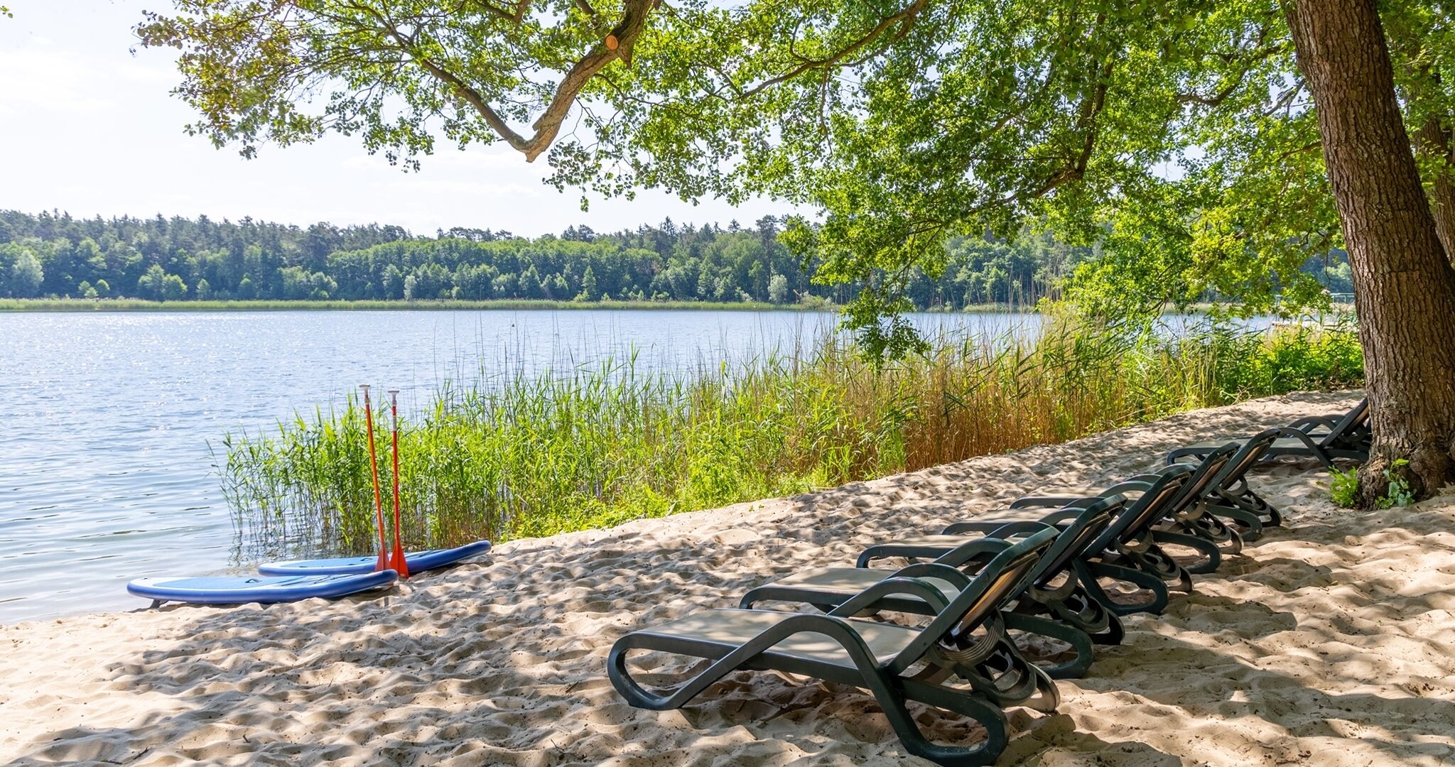 Beach nearby, scuba diving, rowing, fishing