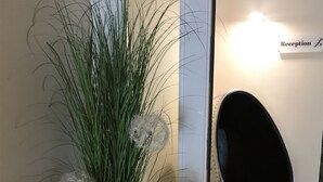 A reception area with a potted plant, a mirror, and a modern chair. - Hotel Traumblick (Cochem)