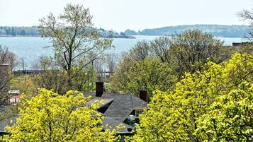 A house with a view of a lake and trees in the foreground.