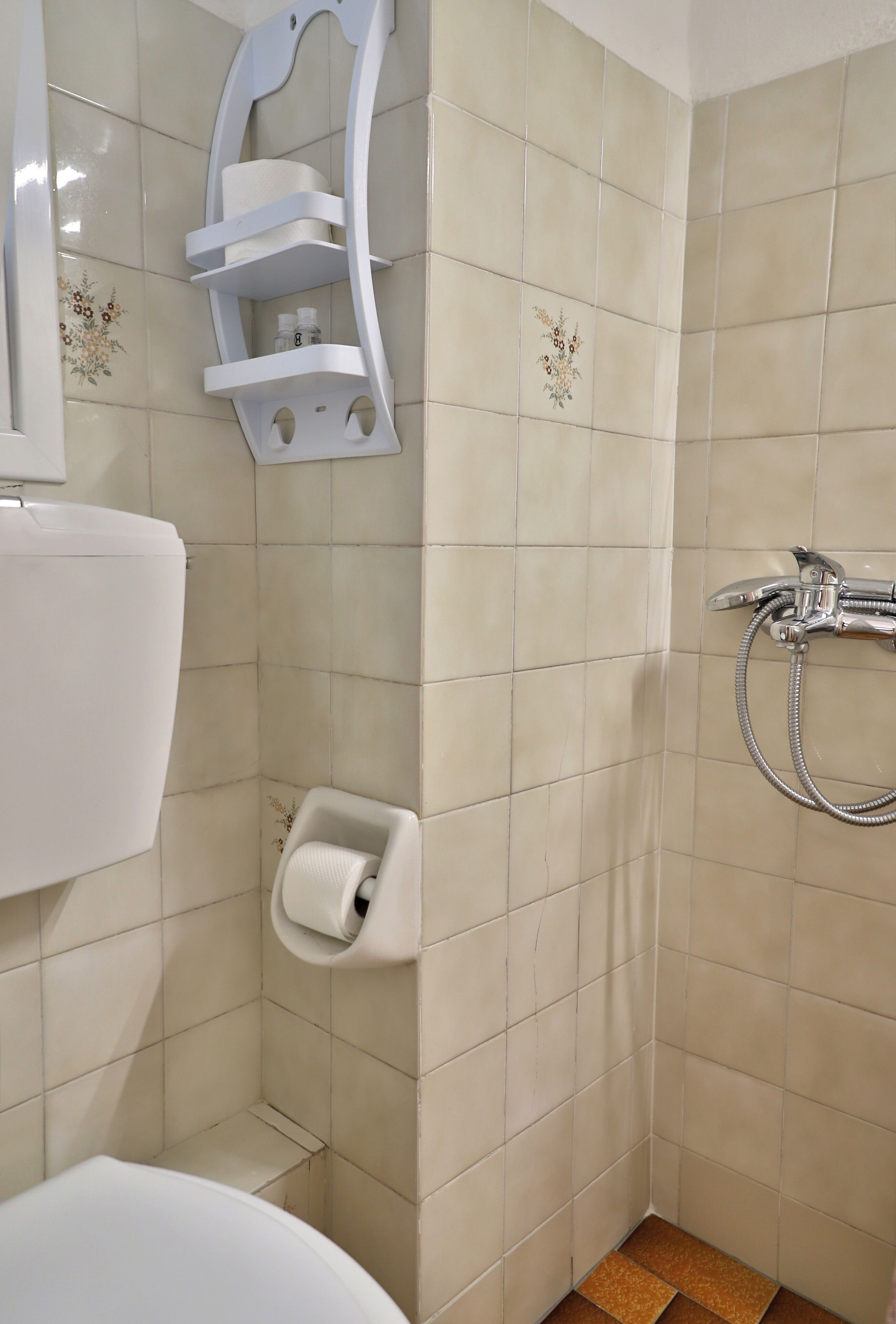 A bathroom with a toilet, a shower with a handheld showerhead, and a toilet paper holder.