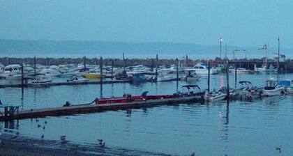 Curley's Resort & Dive Center