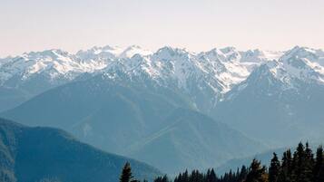 A mountain range with snow-capped peaks and dense forest at the base.