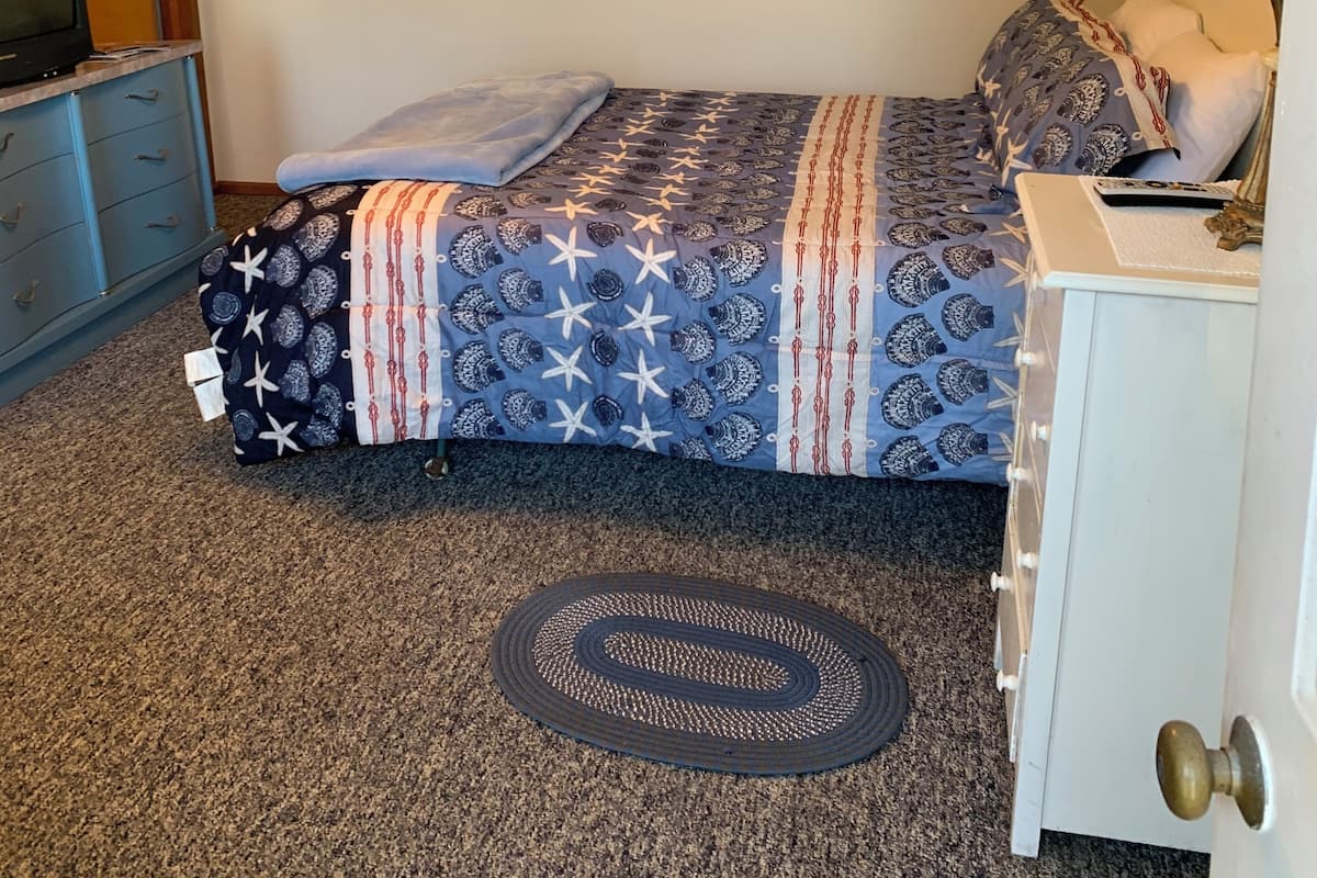 A bedroom with a bed, a dresser, a television, a painting on the wall, and a rug.