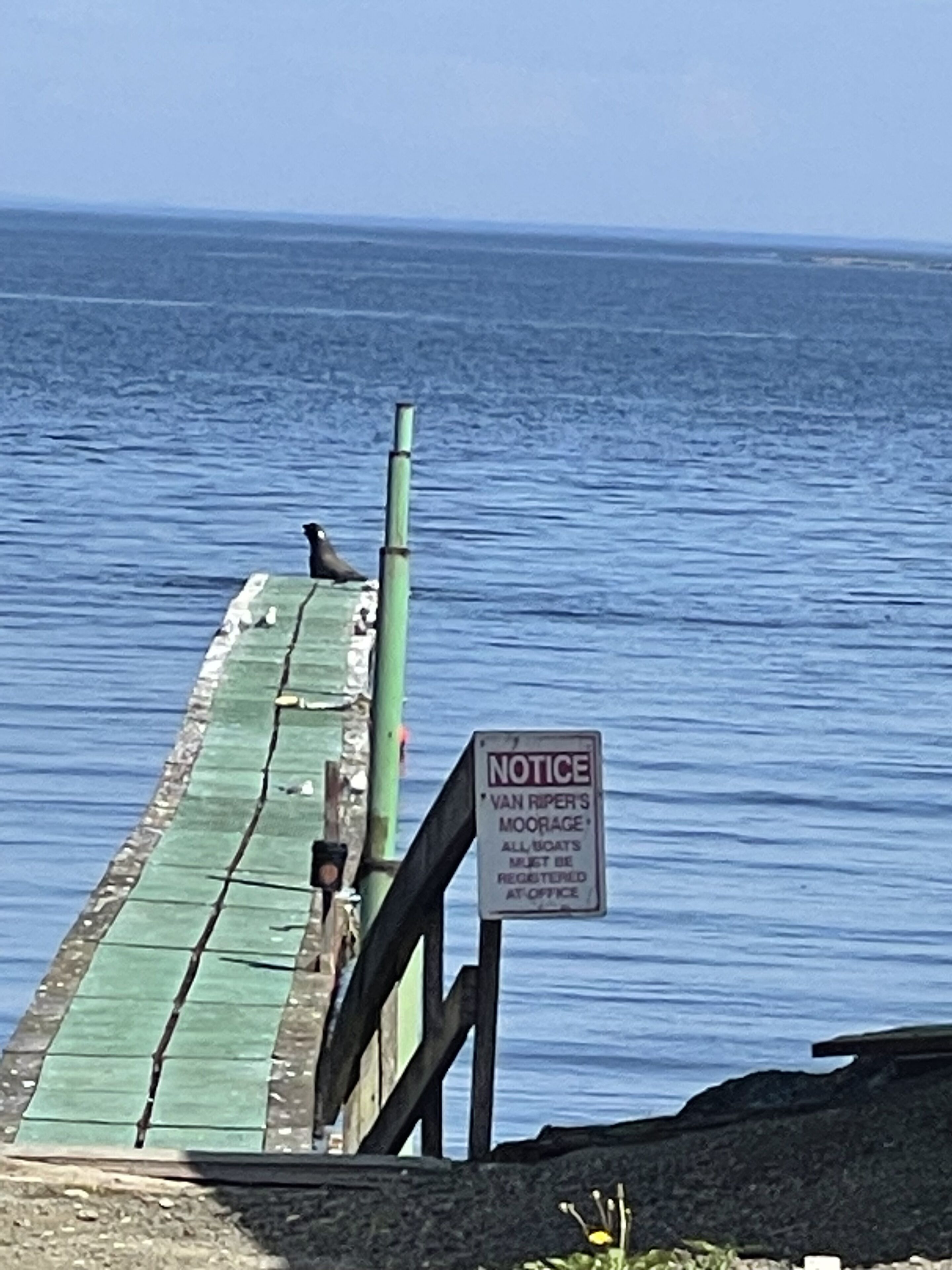 A pier with a sign stating 'NOTICE VAN RIPER'S MOORAGE ALL BOATS MUST BE REGISTERED AT OFFICE'.
