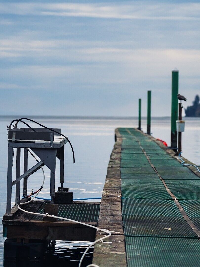 Un muelle se adentra en aguas tranquilas, con una estructura metálica a la izquierda y postes verdes a la derecha.