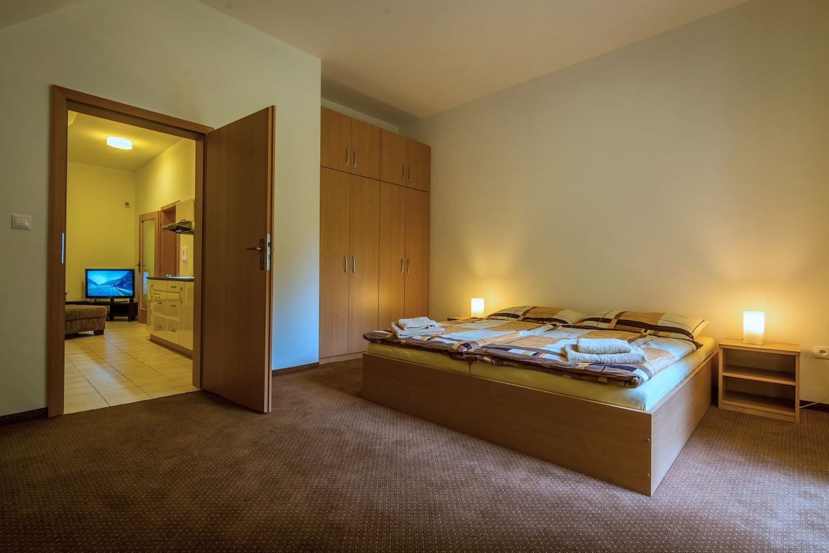 Classic Apartment, 1 Bedroom | 1 bedroom, desk, soundproofing, free cribs/infant beds