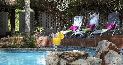 Out of Africa Guest House