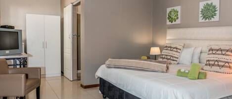 Una habitación de hotel con cama, televisor, escritorio y armario.