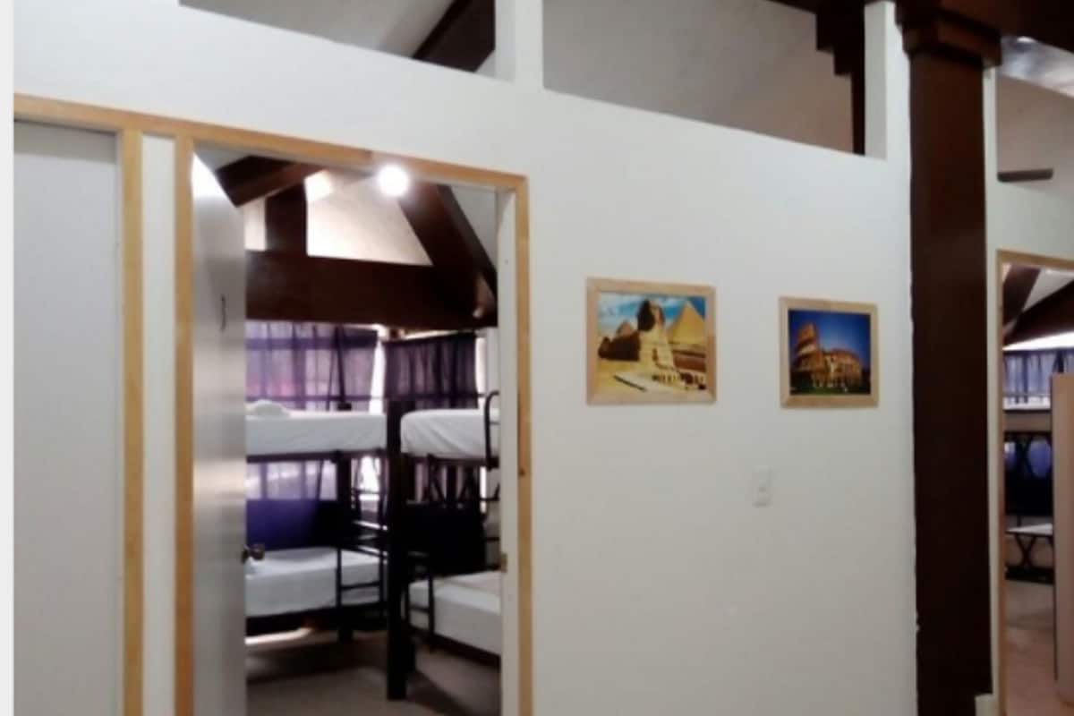 Dormitorio compartido, dormitorio mixto (Double Bunk) | Tabla de planchar con plancha