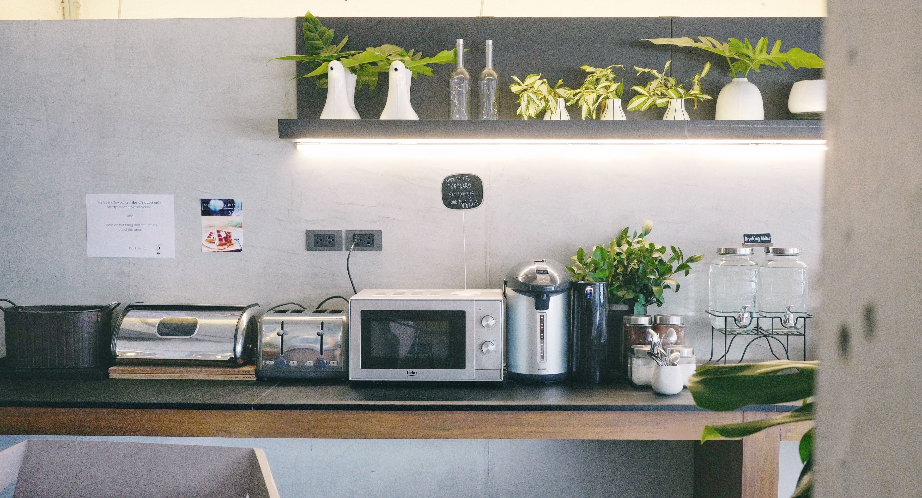 A kitchen with a microwave, toaster, and coffee maker on the counter. There are plants and jars on the shelf above.