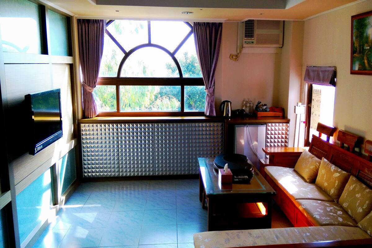 A living room with a sofa, a television, a window with curtains, a radiator, and a painting on the wall.