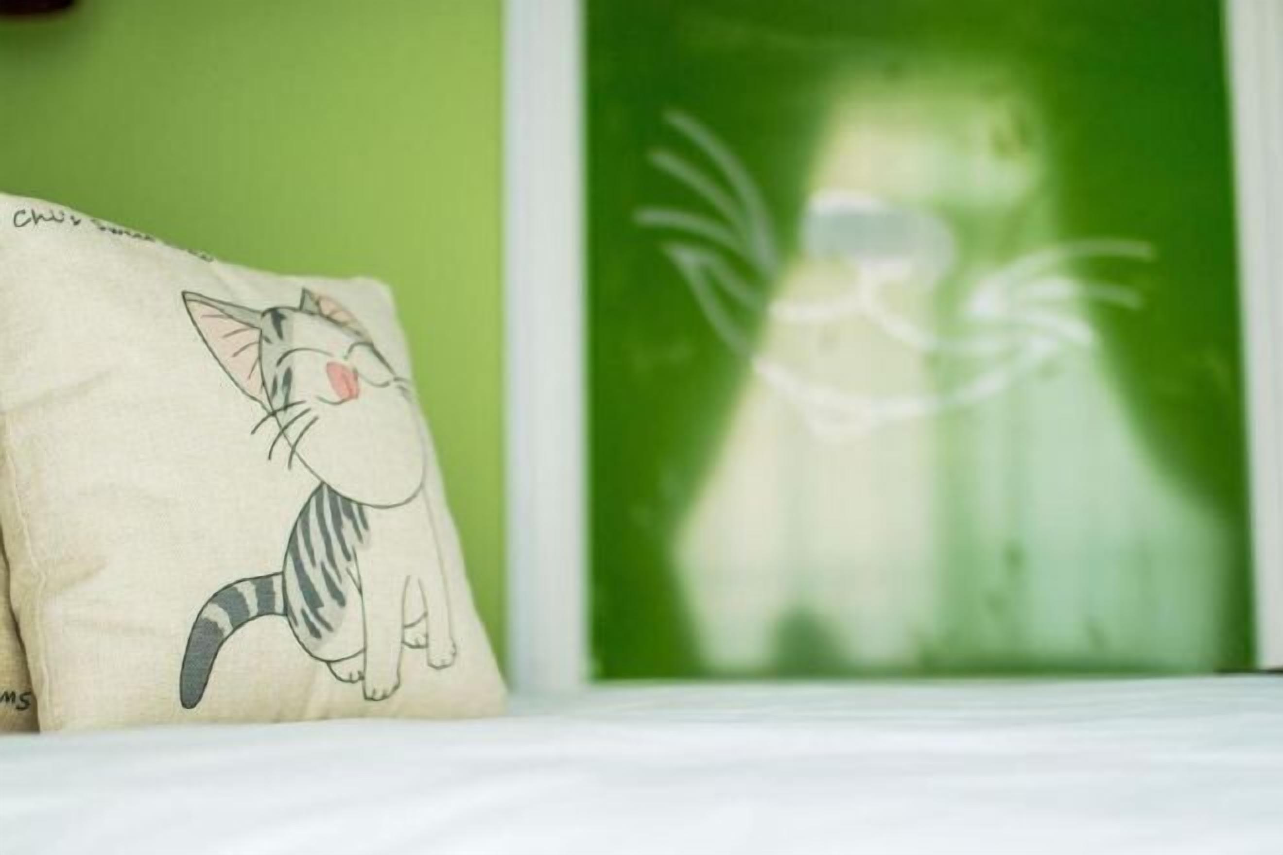 Desk, soundproofing, free WiFi, bed sheets