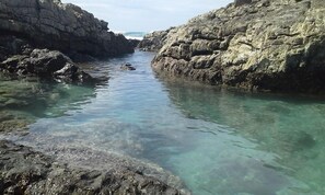 Beach nearby, snorkelling, kayaking, rowing