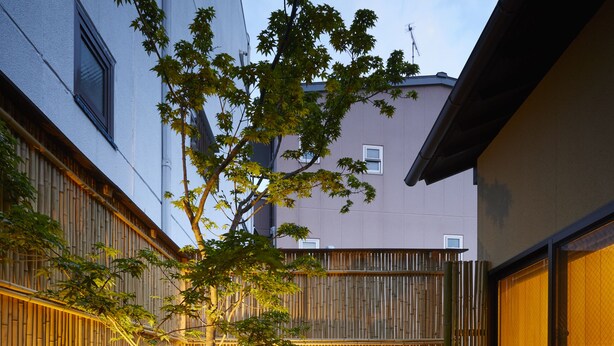 A courtyard with a bamboo fence, a small tree, and a gravel path.