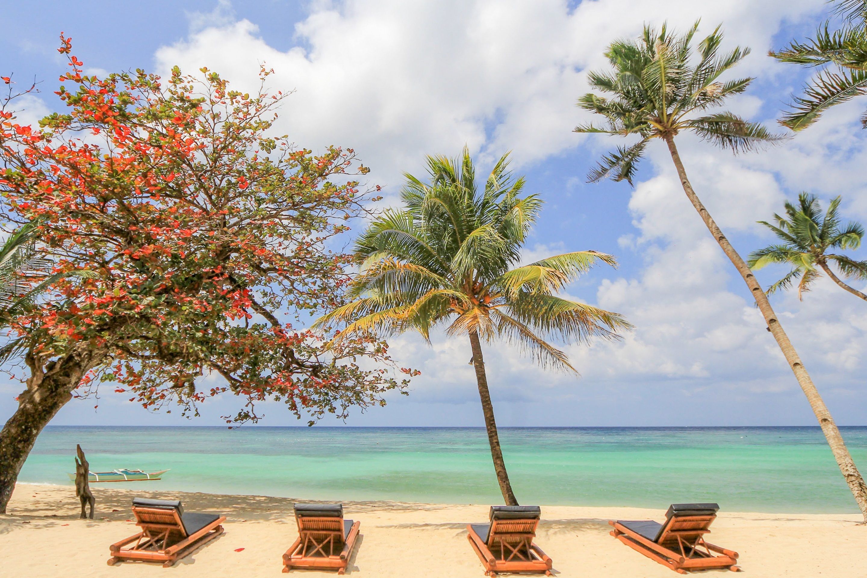 On the beach, white sand, free beach shuttle, sun-loungers
