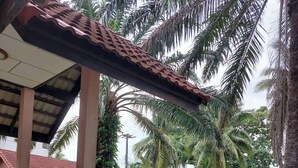 A covered outdoor area with steps leading to a building, surrounded by palm trees and a grassy lawn. - Chill Beach Resort (Pathio)