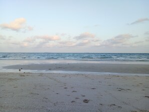 واجهة المنشأة