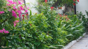 Utsikt fra overnattingsstedet