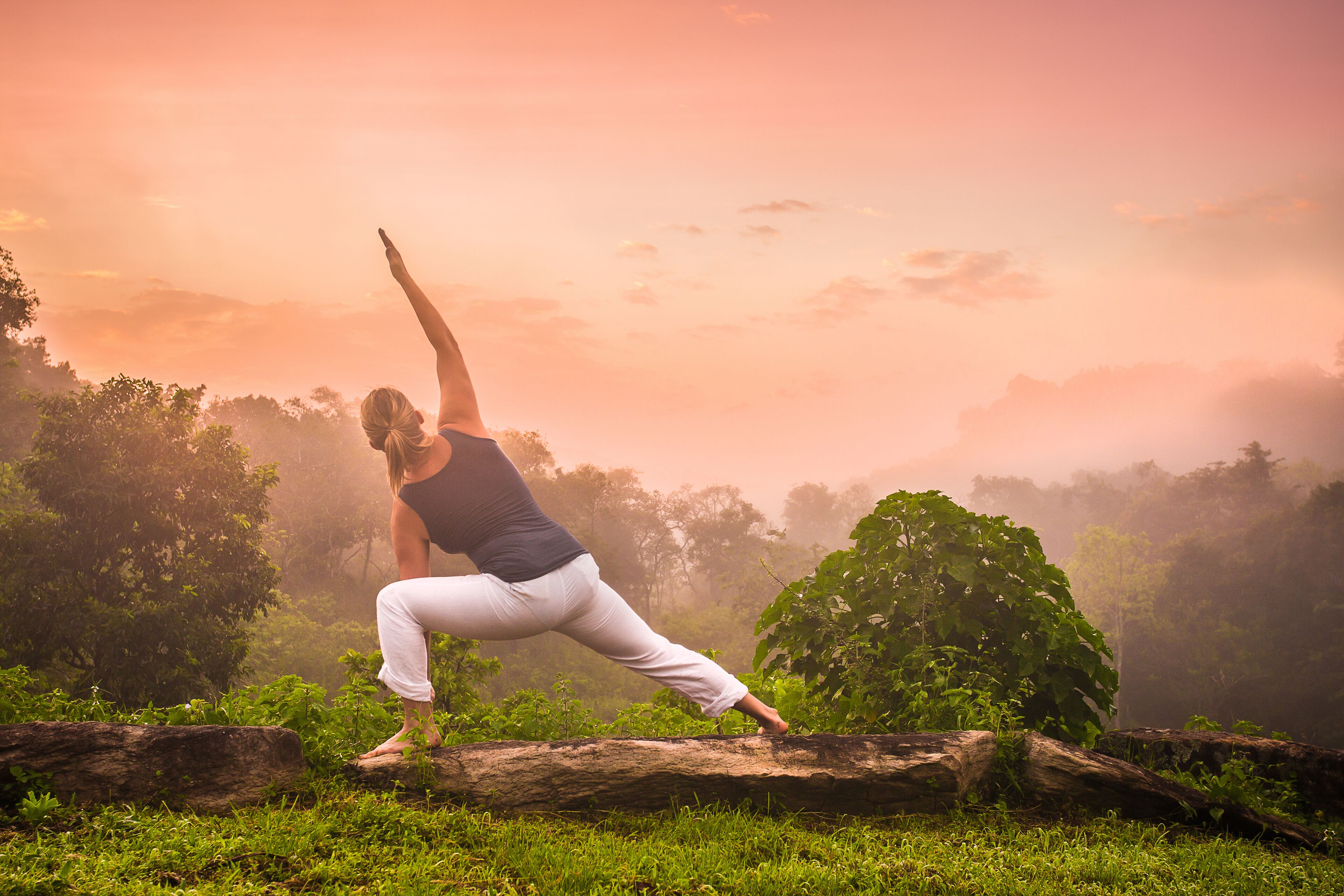 Iemand doet een yoga-houding in de buitenlucht, met bomen en een boomstronk op de voorgrond.