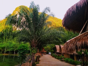 Interior - Aoluek Paradise (Ao Luek)