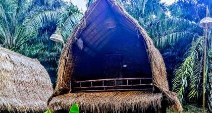 Aoluek Paradise