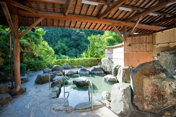 Piscine extérieure, piscine naturelle