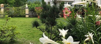Slow Fly B&B